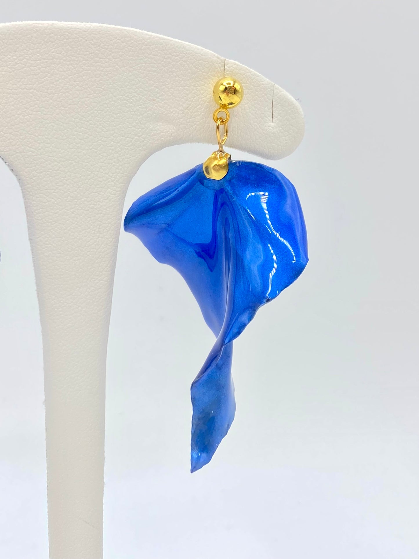 Hoja larga y ancha azul